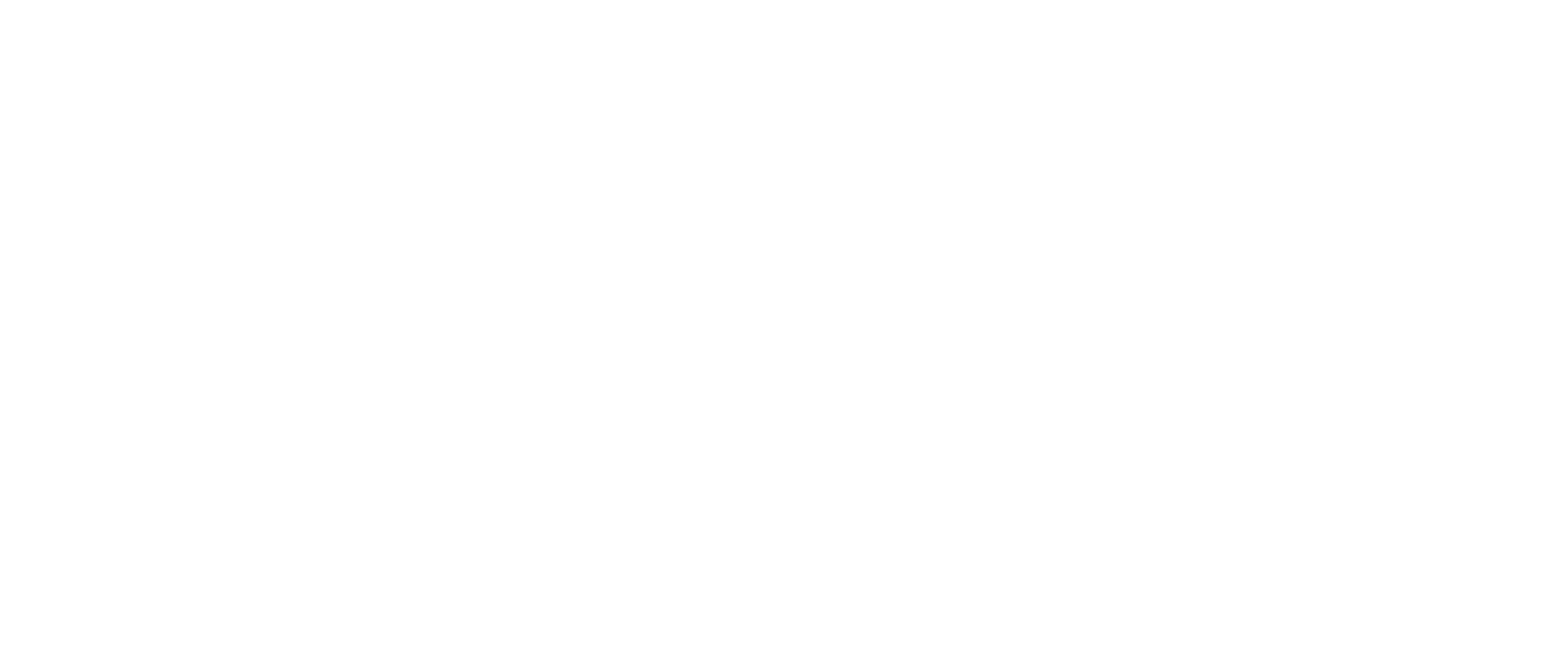 DDS_hvid_logo.png